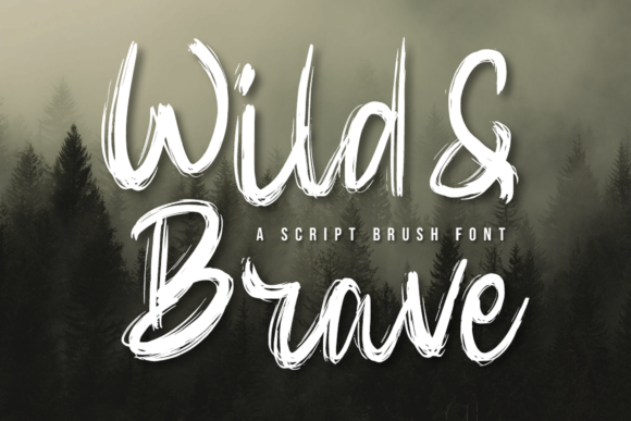 Wild & Brave Font Poster 1