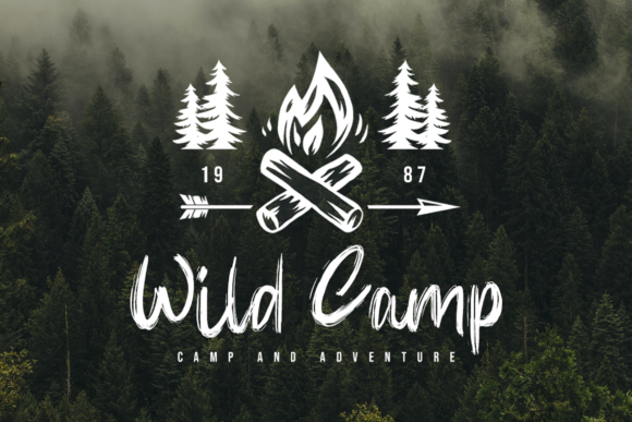 Wild & Brave Font Poster 8