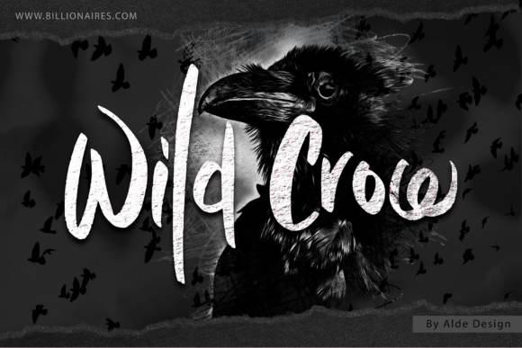 Wild Crow Font Poster 1