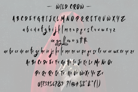 Wild Crow Font Poster 8