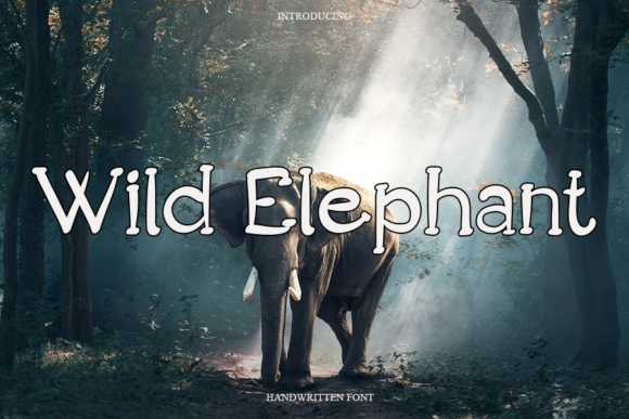Wild Elephant Font Poster 1