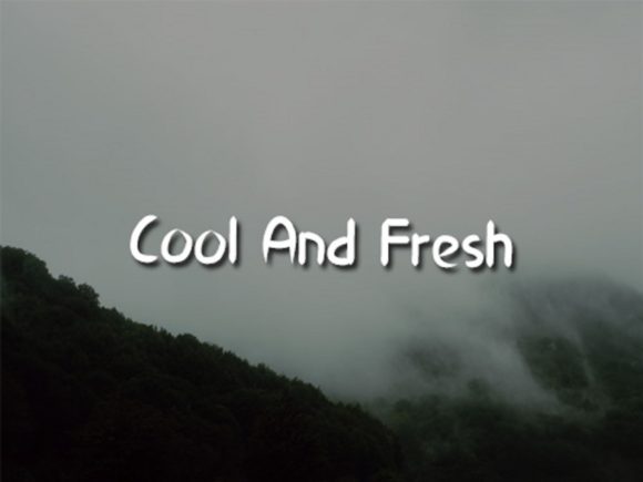 Wild Nature Font Poster 3