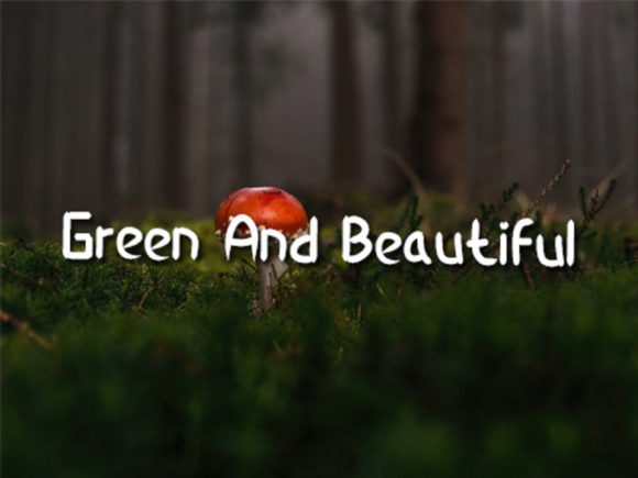 Wild Nature Font Poster 4