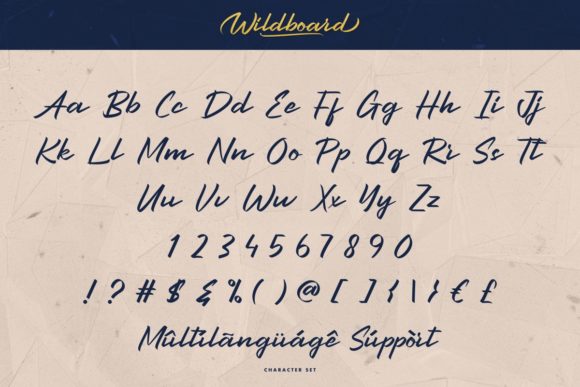 Wildboard Font Poster 5