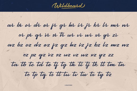 Wildboard Font Poster 7