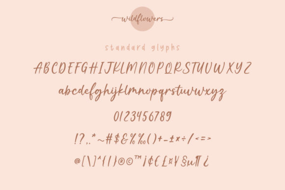 Wildflower Font Poster 8