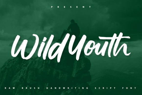 Wildyouth Font Poster 1