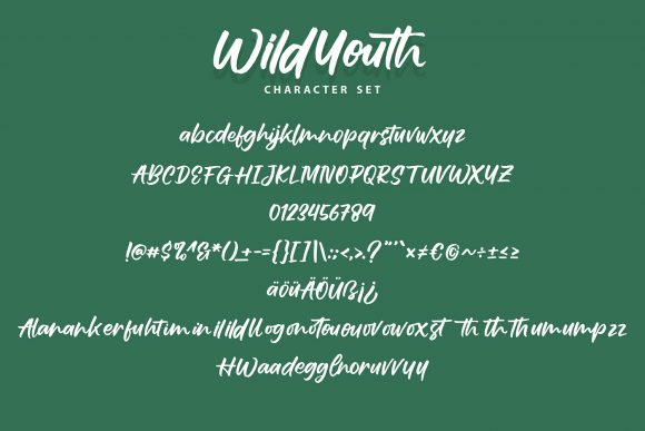 Wildyouth Font Poster 7