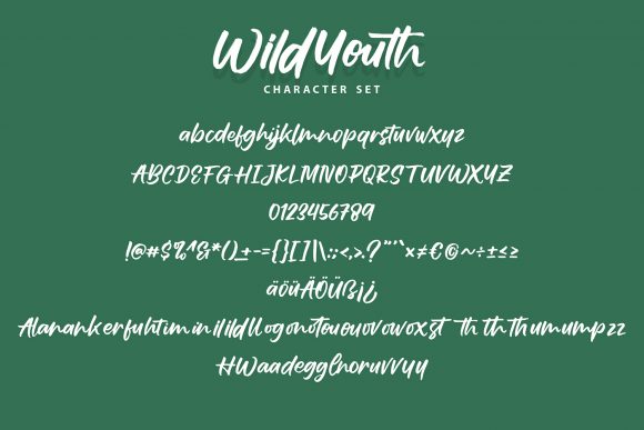 Wildyouth Font Poster 7