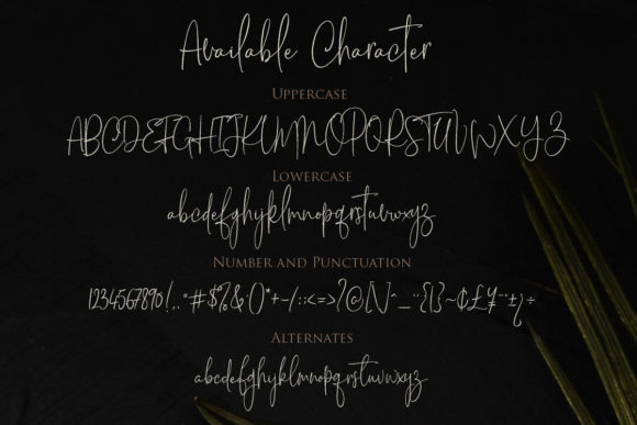 Willosa Font Poster 2