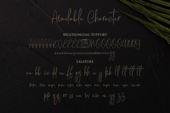 Willosa Font Poster 3
