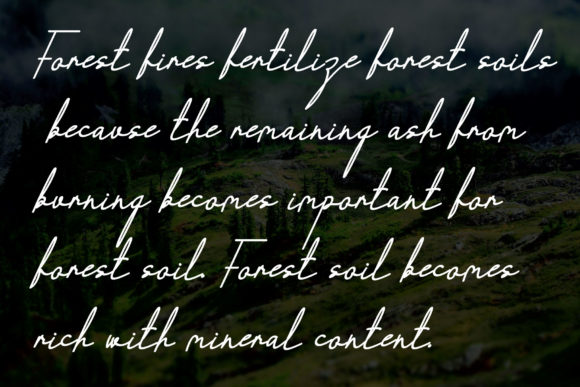 Windmill Font Poster 3