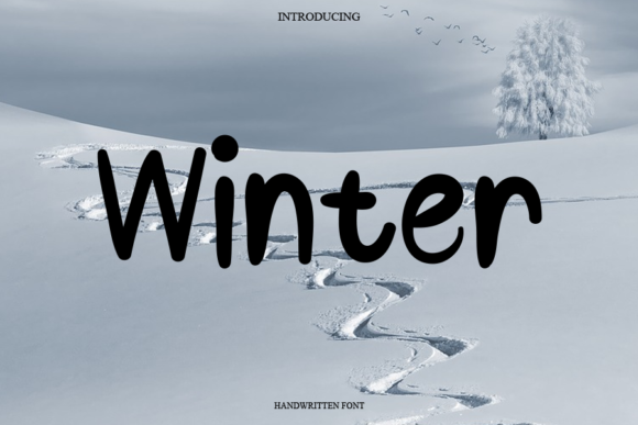 Winter Font Poster 1