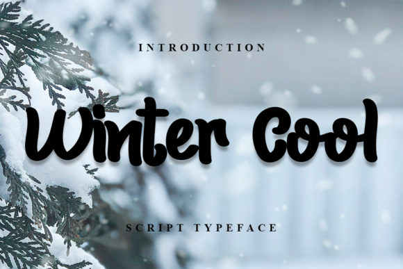 Winter Cool Font Poster 1