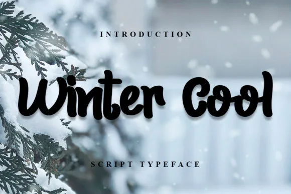 Winter Cool Font Winter Cool Font Poster 1