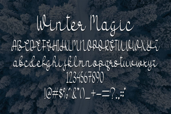 Winter Magic Font Poster 4