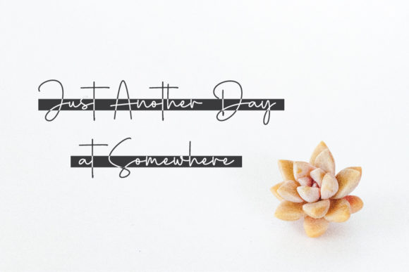 Winter Sonata Font Poster 7