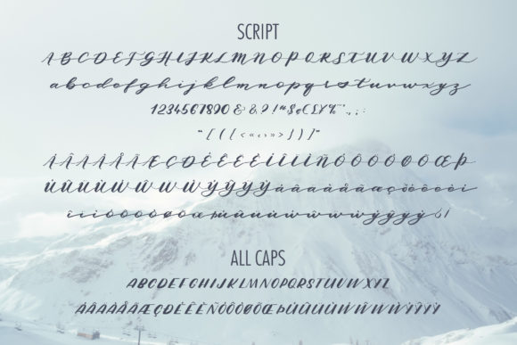 Winter Willow Font Poster 2