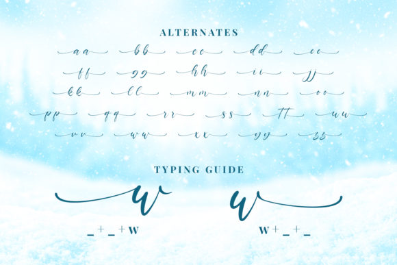 Winterline Font Poster 7