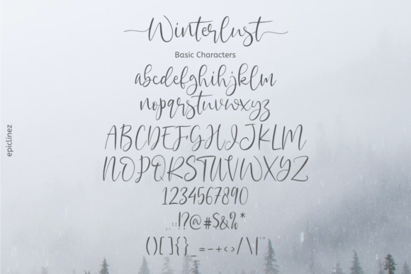 Winterlust Font Poster 8