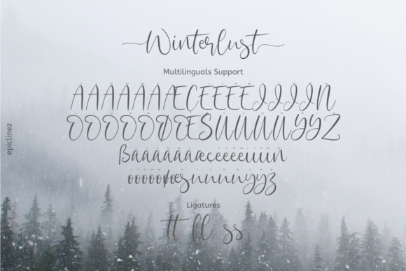 Winterlust Font Poster 9