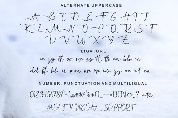 Wolfriend Font Poster 9