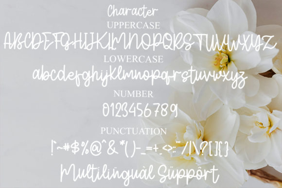Women Beautiful Font Poster 5