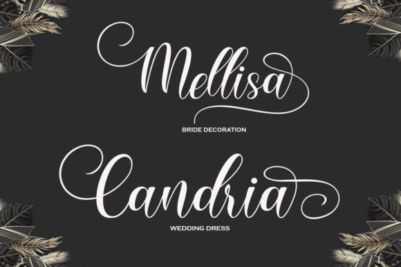 Wonderful Delight Font Poster 3
