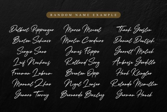 Wonderful Sunset Font Poster 2