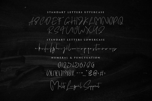 Wonderfull Vogue Font Poster 6