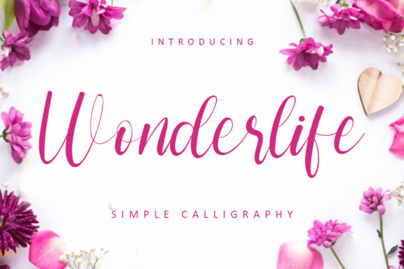 Wonderlife Font Poster 1