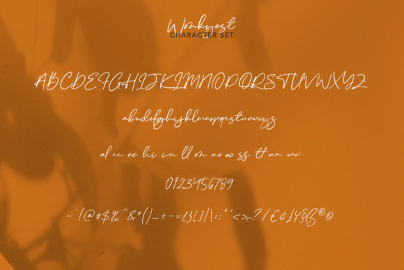 Wonkyest Font Poster 8