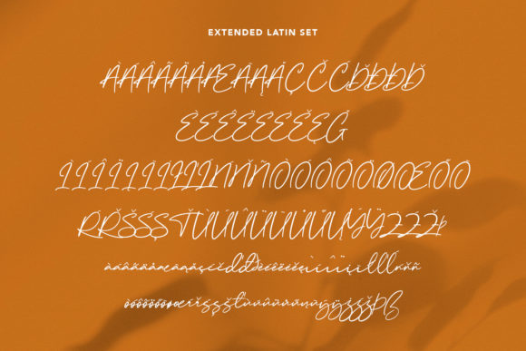 Wonkyest Font Poster 9