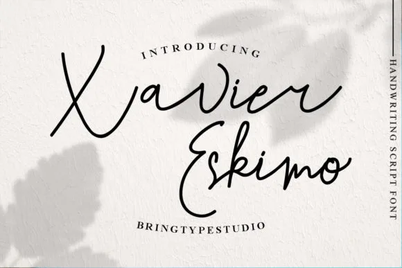 Xavier Eskimo Font Xavier Eskimo Font Poster 1