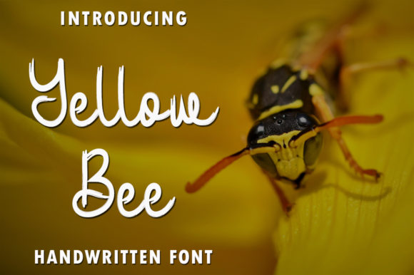 Yellow Bee Font Poster 1