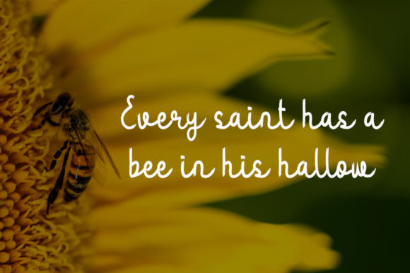Yellow Bee Font Poster 3