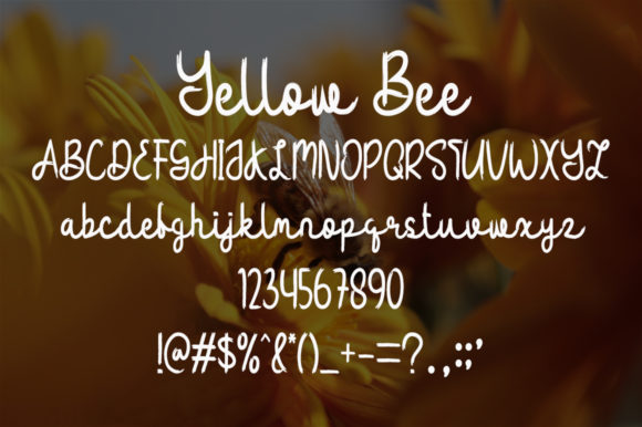 Yellow Bee Font Poster 5