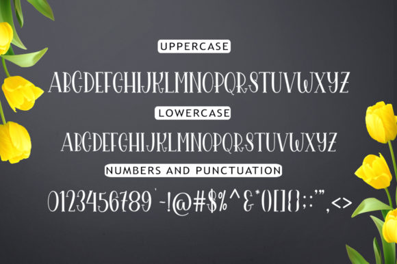 Yolanda Font Poster 8