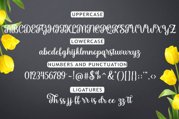 Yolanda Font Poster 9