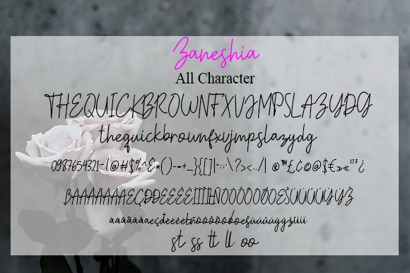 Zaneshia Font Poster 5