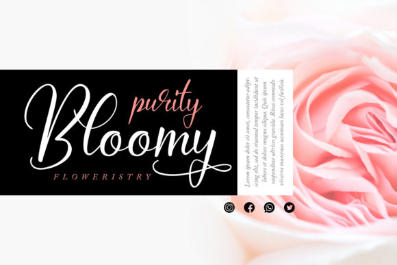 Zellyra Font Poster 2