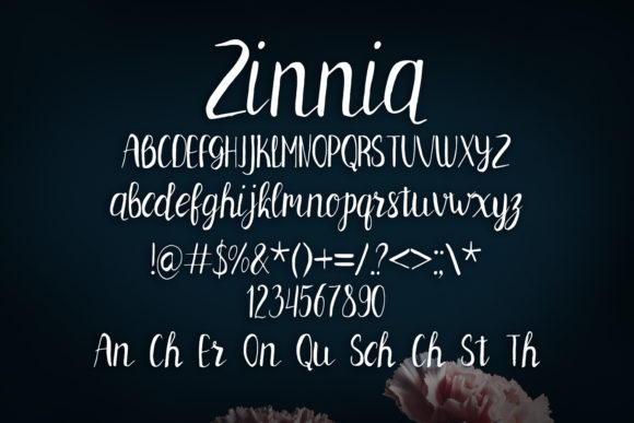 Zinnia Font Poster 2