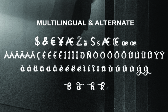 Abigdon Font Poster 9