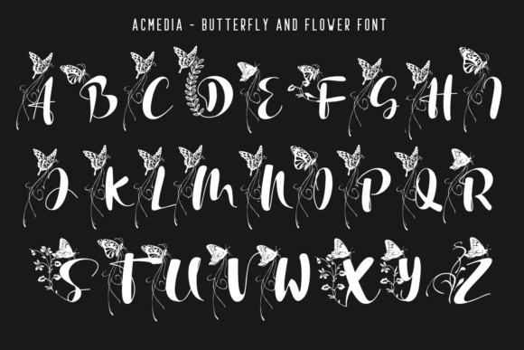 Acmedia Font Poster 4