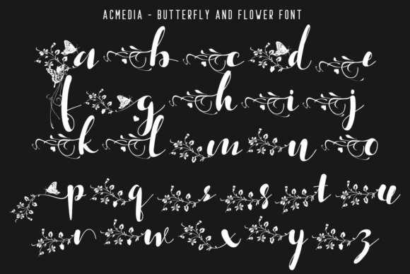 Acmedia Font Poster 5