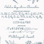 Adelia Signature Font Poster 6