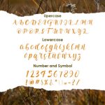 Adelwish Font Poster 2