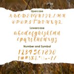Adelwish Font Poster 2