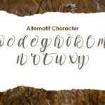 Adelwish Font Poster 4