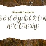 Adelwish Font Poster 4